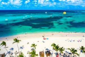 Shark Diving Punta Cana
