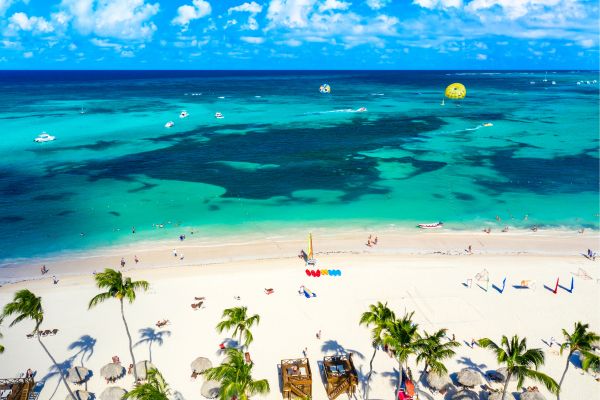 Shark Diving Punta Cana