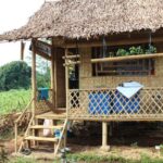 organic gardening basics