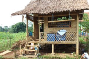 organic gardening basics