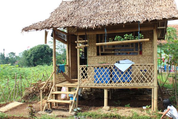 organic gardening basics