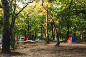 best campgrounds for beginners